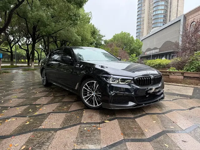 BMW 5 Series 2020 530Li Leading M Sport Package