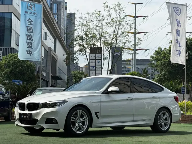 BMW 3 Series GT 2019 320i M Sport Package