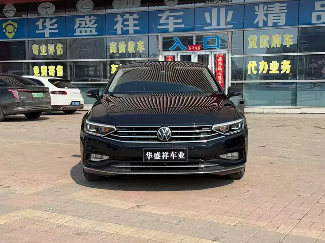 Volkswagen Magotan 2020 330TSI DSG Leading