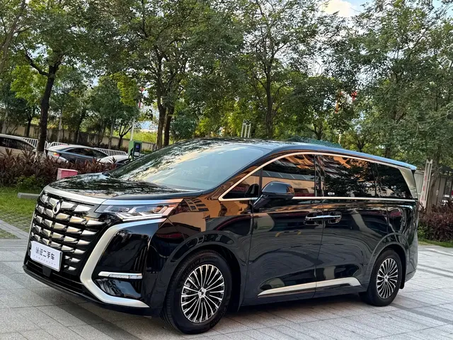 Denza D9 2024 DM-i 1050 Premium