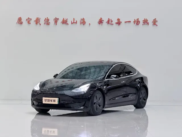 Tesla Model 3 2020 Standard Range Rear-Wheel Drive Upgrade