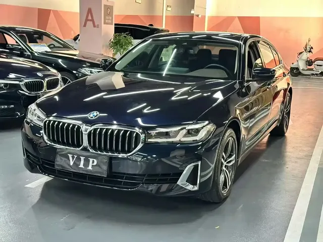 BMW 5 Series 2021 530Li Leading Luxury Package