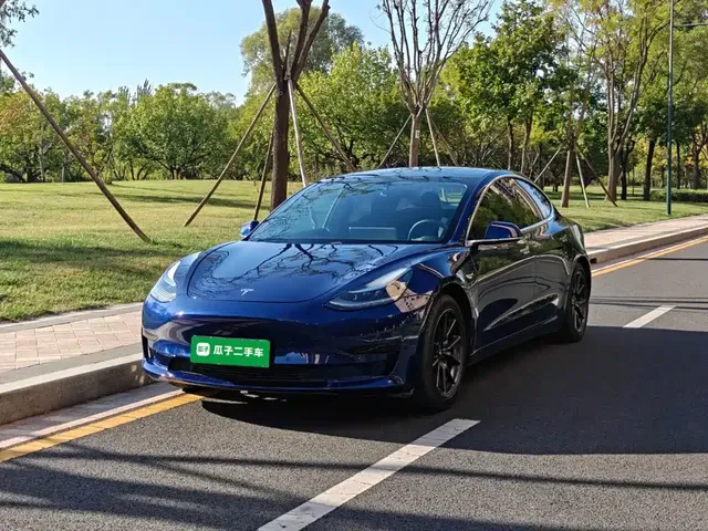Tesla Model 3 2020 Standard Range Rear-Wheel Drive Upgrade