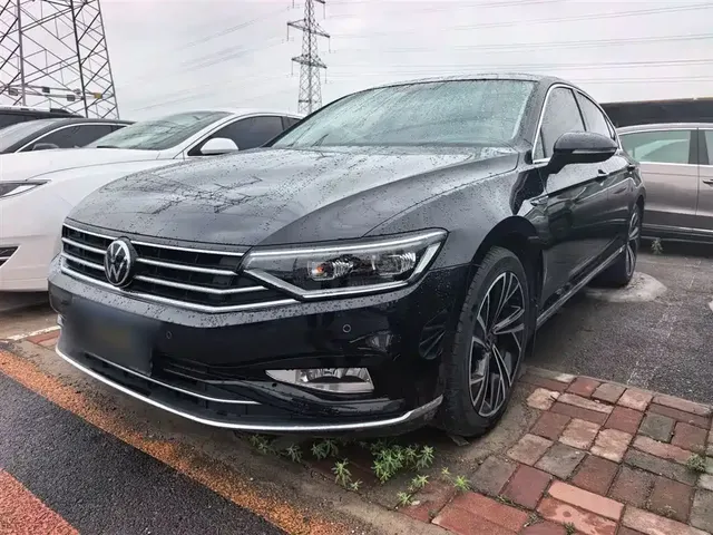 Volkswagen Magotan 2020 330TSI DSG Luxury