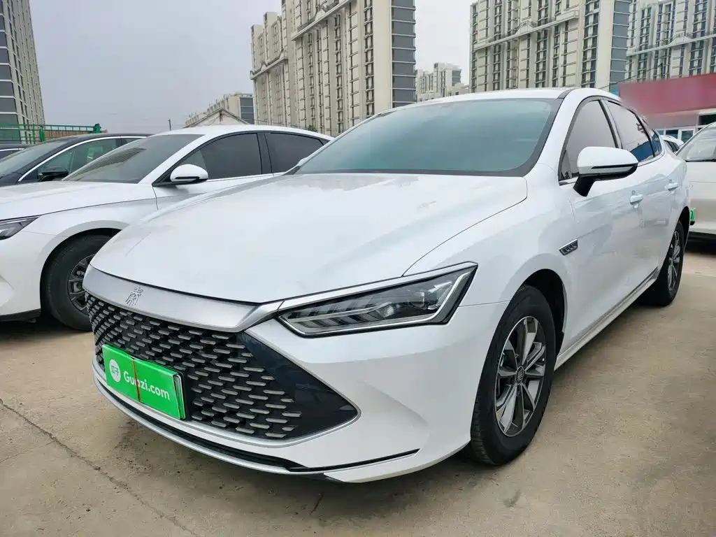 BYD Qin PLUS 2024 Glory Edition DM-i 55KM Leading