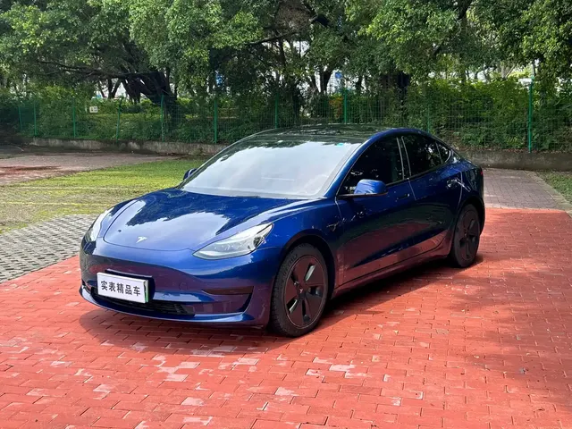 Tesla Model 3 2021 Standard Range Rear-Wheel Drive Upgrade