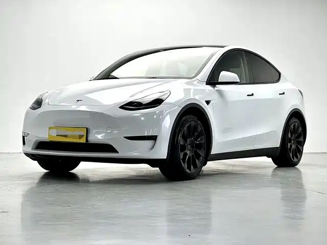Tesla Model Y 2021 Standard Range Rear-Wheel Drive