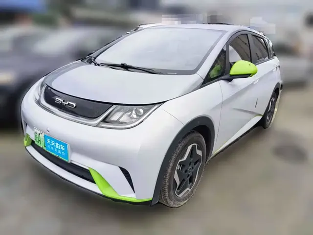 BYD Dolphin 2021 405km Freedom Edition