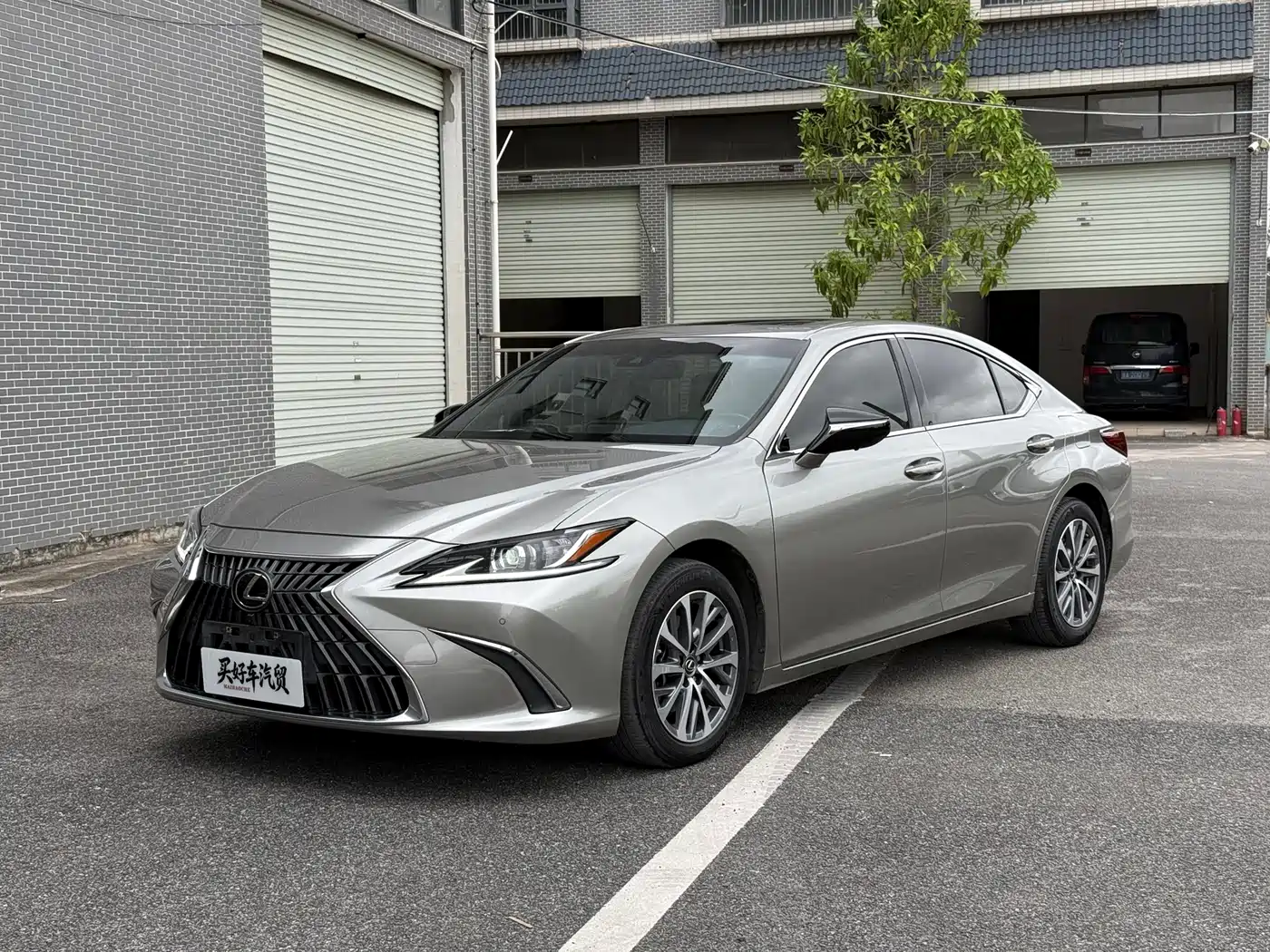 Lexus ES 2021 260 Excellence Edition