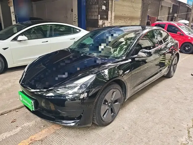 Tesla Model 3 2022 Model Rear-Wheel Drive Version