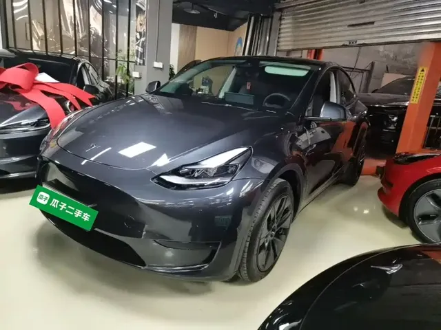 Tesla Model Y 2024 Rear-Wheel Drive Version
