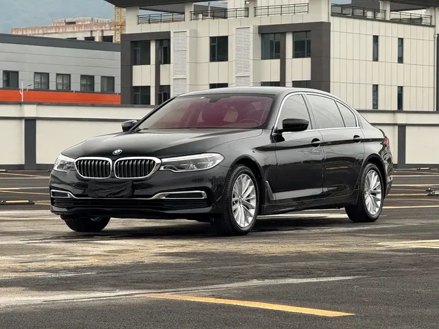 BMW 5 Series 2020 530Li Leading Luxury Package