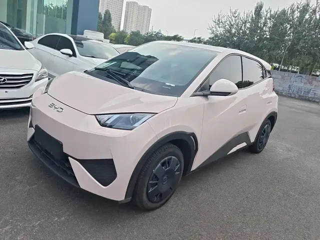 BYD Seagull 2025 Smart Drive Edition 305km Vitality Version