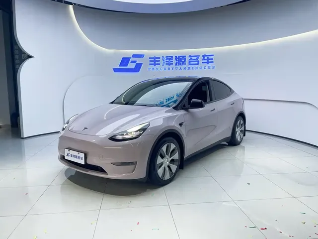Tesla Model Y 2021 Standard Range Rear-Wheel Drive
