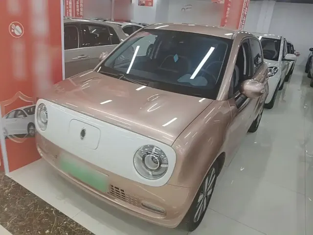 Ora Black Cat 2021 351km Luxury Model