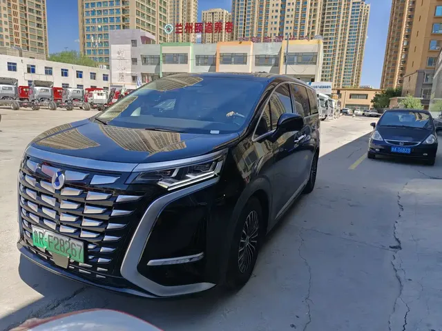 Denza D9 2024 DM-i 980 AWD Premium