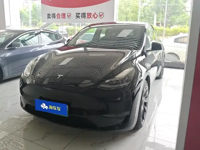 Tesla Model Y 2021 Standard Range Rear-Wheel Drive