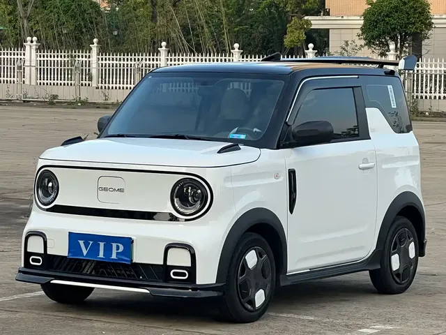 Geely Galaxy Panda 2025 Model Year 210km Panda Kart
