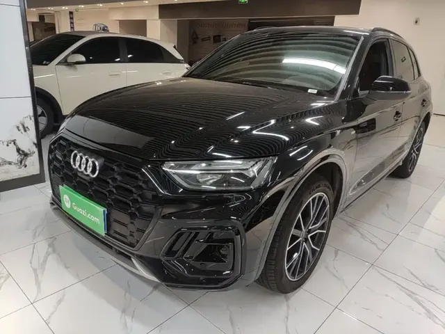 Audi Q5L 2025 45th Anniversary Edition 45 TFSI Luxury Sport