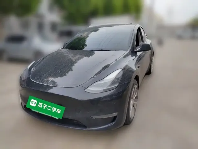 Tesla Model Y 2021 Long Range All-Wheel Drive 3D7