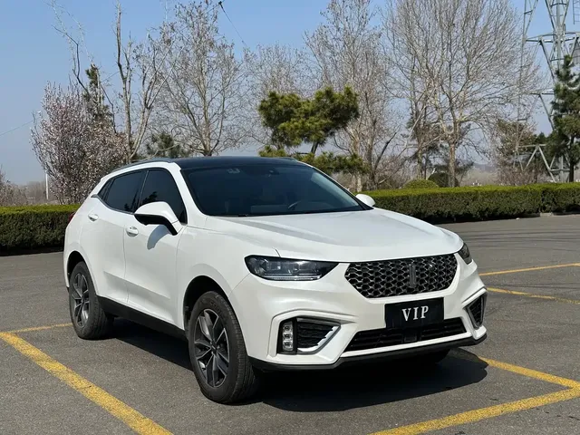 WEY VV5 2021 1.5T 2WD Trend Pioneer