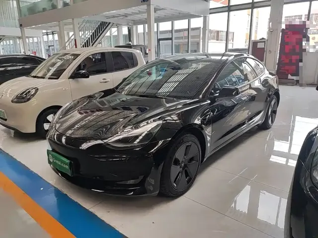 Tesla Model 3 2021 Standard Range Rear-Wheel Drive Upgrade 3D6