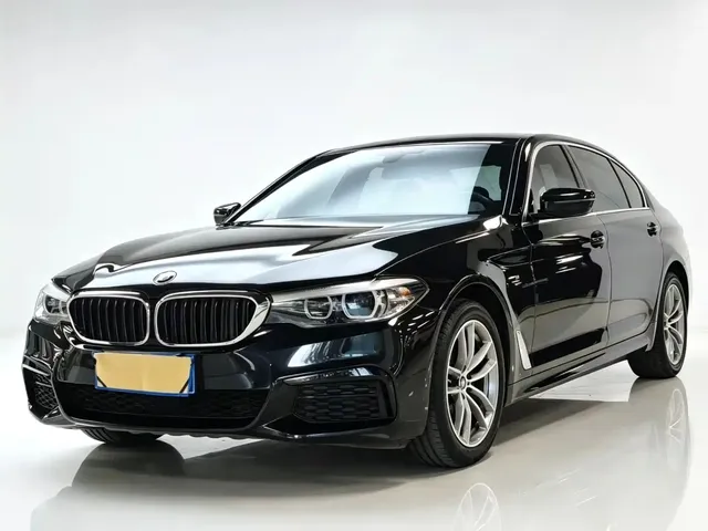 BMW 5 Series 2019 530Li Leading Luxury Package