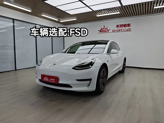 Tesla Model 3 (Import) 2019 Long Range RWD Version
