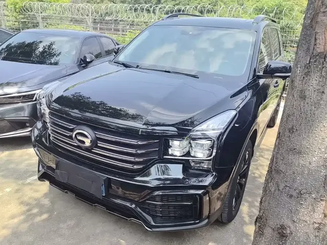 GAC Trumpchi GS8 2021 390T 2WD Dark Night Knight Edition