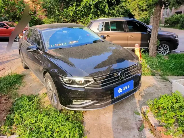 Volkswagen Magotan 2020 330TSI DSG Luxury