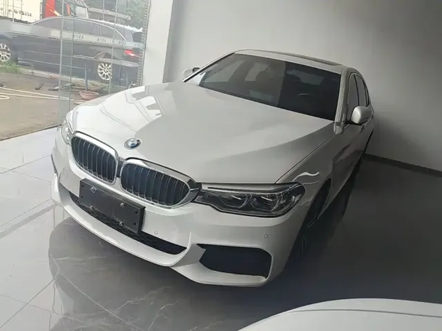 BMW 5 Series 2020 530Li Leading M Sport Package