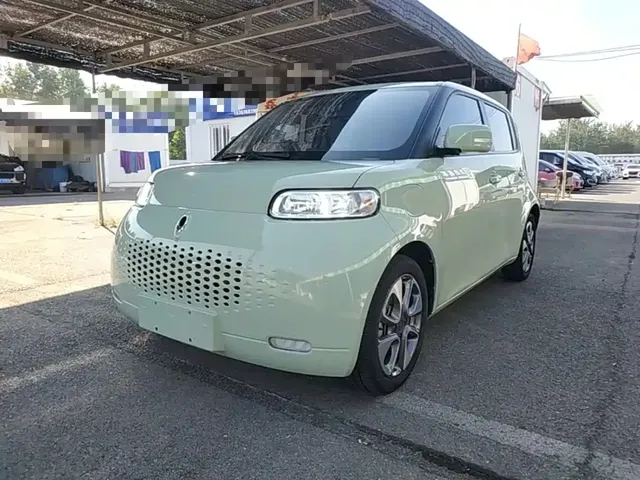 Ora White Cat 2020 305km Luxury