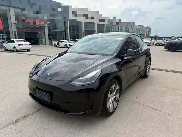 Tesla Model Y 2022 Rear-Wheel Drive Version