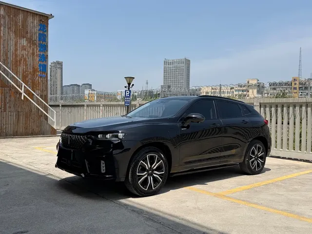 WEY VV7 New Energy 2020 PHEV 2.0T Flagship Model