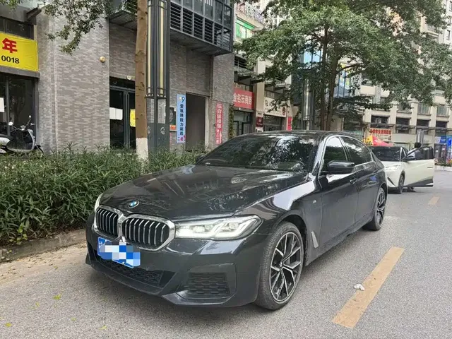 BMW 5 Series 2021 530Li Premium M Sport Package