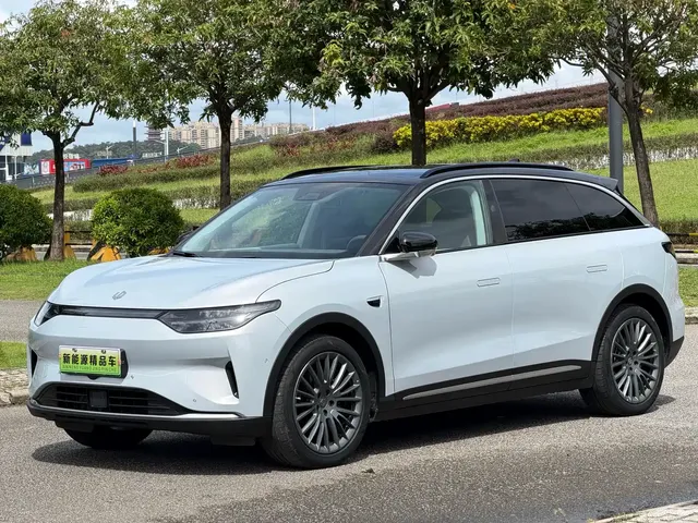 Leapmotor C11 2023 Pure Electric 500 Smart Edition