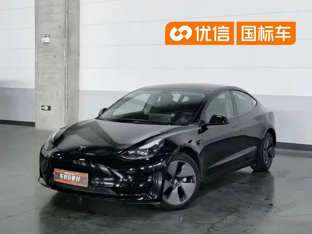 Tesla Model 3 2022 Model Rear-Wheel Drive Version