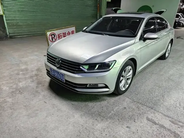 Volkswagen Magotan 2019 330TSI DSG Luxury China V