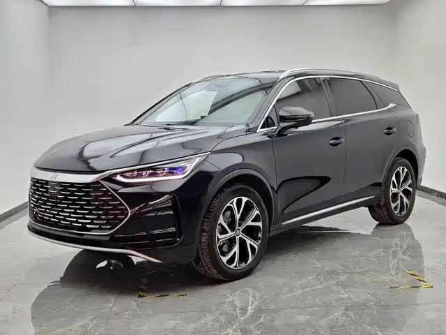BYD Tang New Energy 2025 DM-i 115KM Prestige Type
