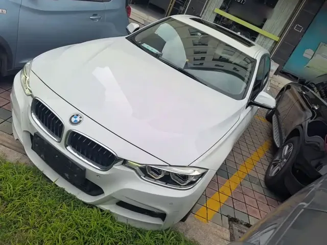 BMW 3 Series 2019 320Li M Sport Package