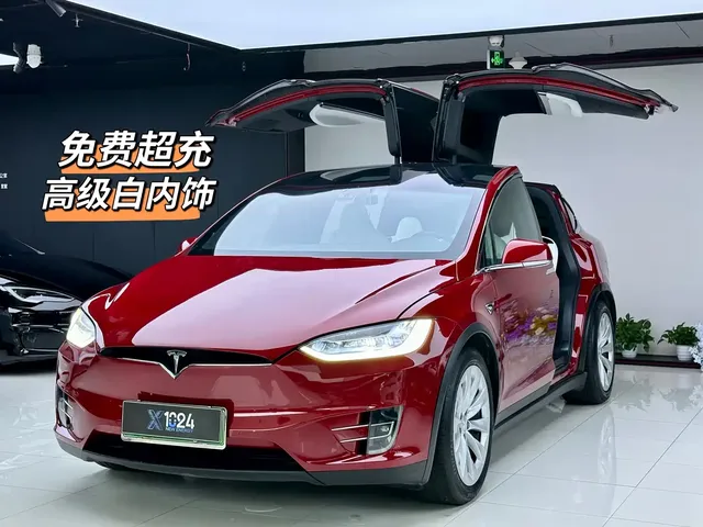 Tesla Model X 2017 Model X 100D Long Range