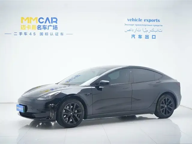 Tesla Model 3 2022 Model Rear-Wheel Drive Version