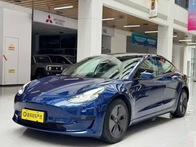 Tesla Model 3 2021 Standard Range Rear-Wheel Drive Upgrade 3D6