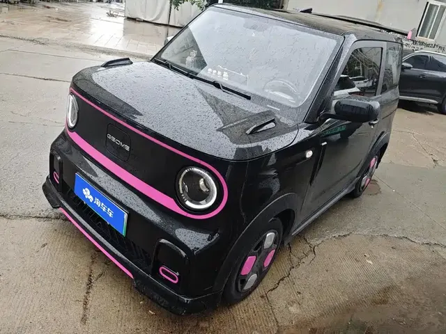 Geely Galaxy Panda 2025 Model Year 210km Panda Kart