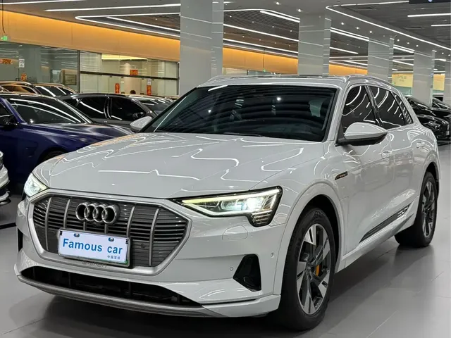 Audi e-tron (Import) 2019 55 quattro Technology