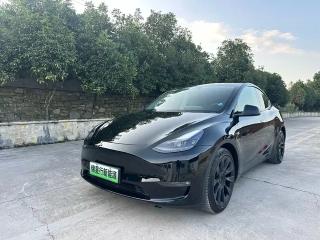 Tesla Model Y 2021 Standard Range Rear-Wheel Drive