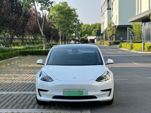 Tesla Model 3 2021 Standard Range Rear-Wheel Drive Upgrade