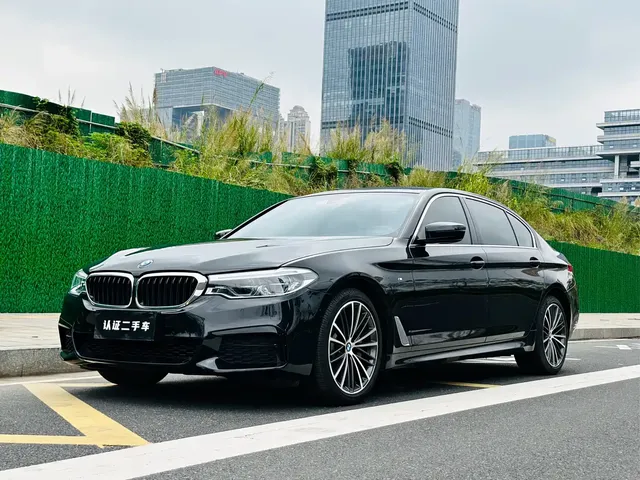 BMW 5 Series 2020 530Li Leading M Sport Package