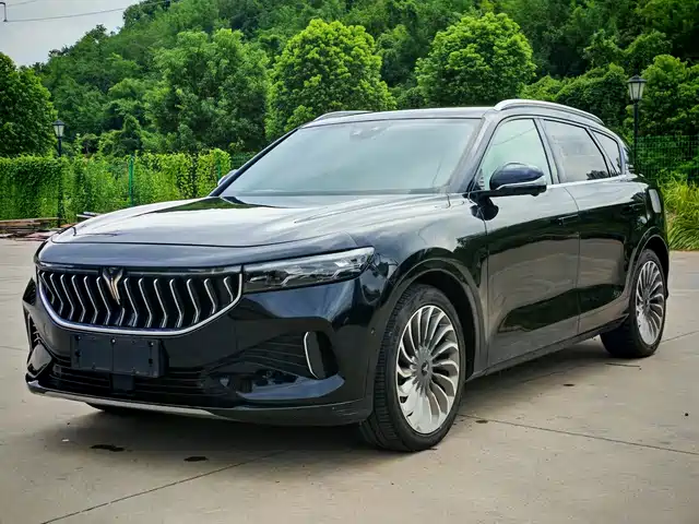 Voyah Auto VOYAH FREE 2021 AWD Standard Range Extender Exclusive Luxury Package