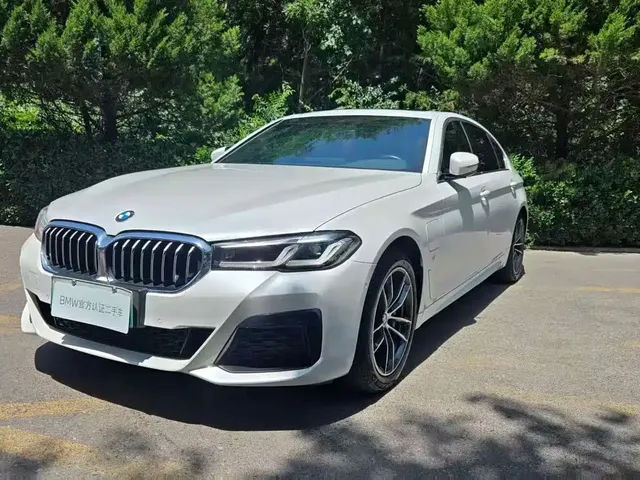 BMW 5 Series New Energy 2021 535Le M Sport Package